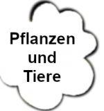 pflanzen_und_tiere_cloud_new